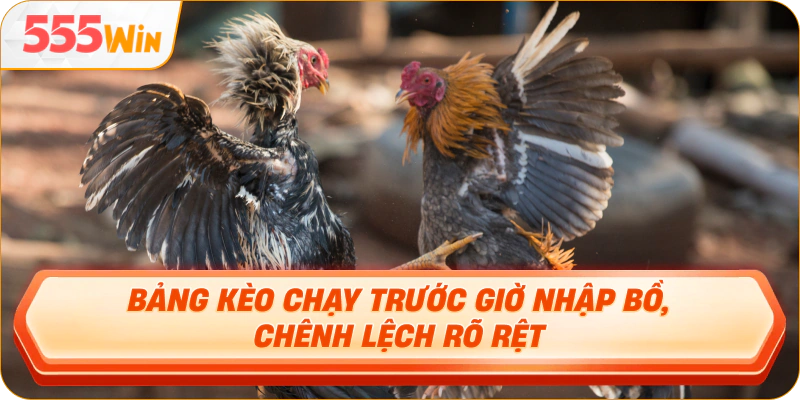Bảng kèo chạy trước giờ nhập bồ, chênh lệch rõ rệt